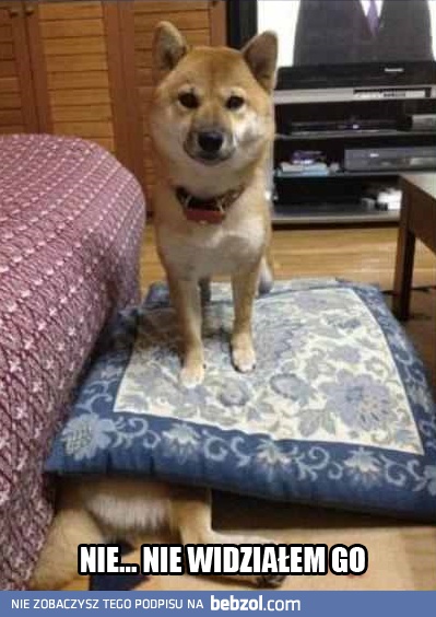 Nie wiem o czym mówisz!