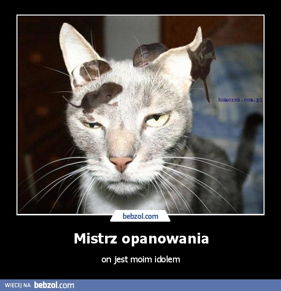 Mistrz opanowania