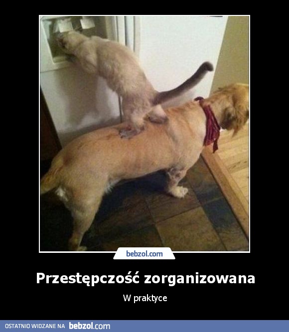 Przestępczość zorganizowana