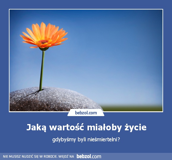 Jaką wartość miałoby życie
