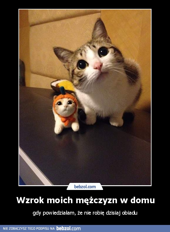 Wzrok moich mężczyzn w domu