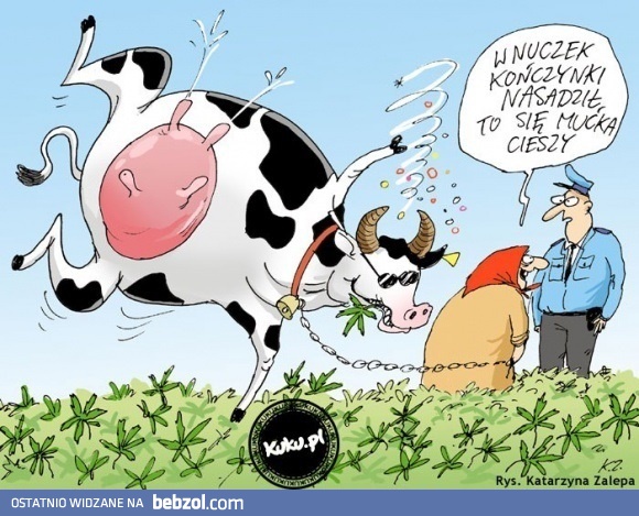 Wnuczek koniczynki nasadził...