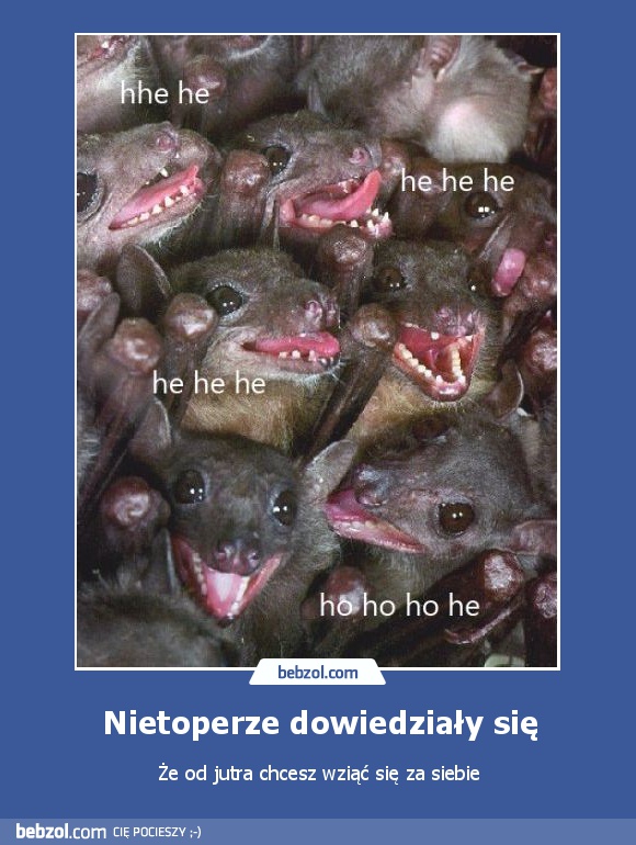 Nietoperze dowiedziały się