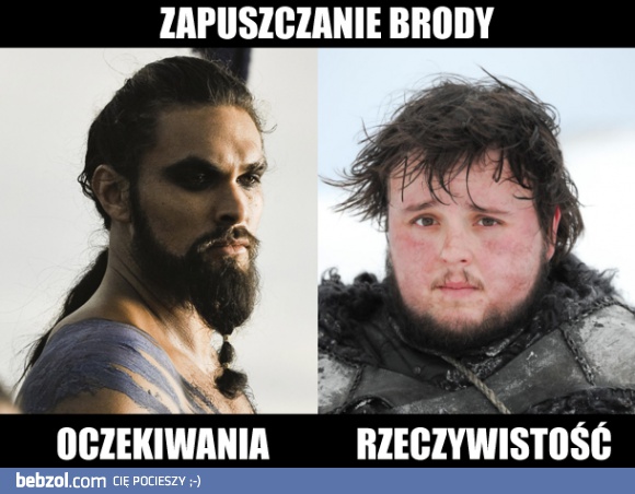 Zapuszczanie brody