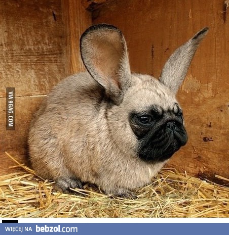 Ktoś tu chyba miał romans