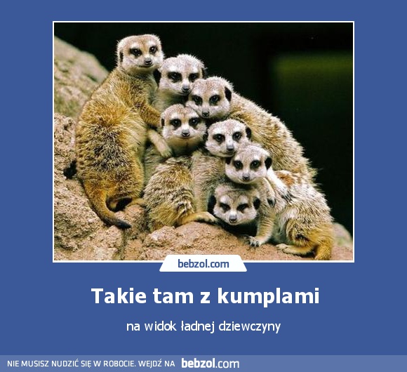 Takie tam z kumplami
