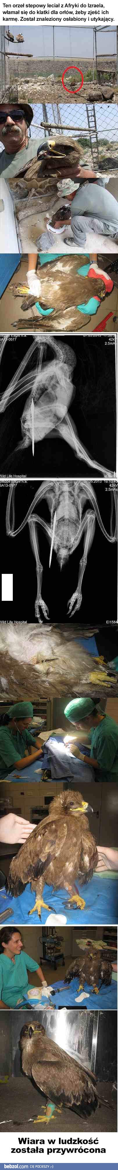 Wiara w ludzkość przywrócona!