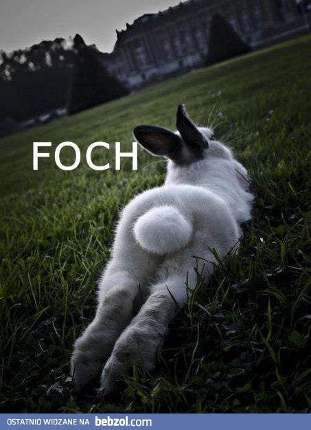 Foch.
