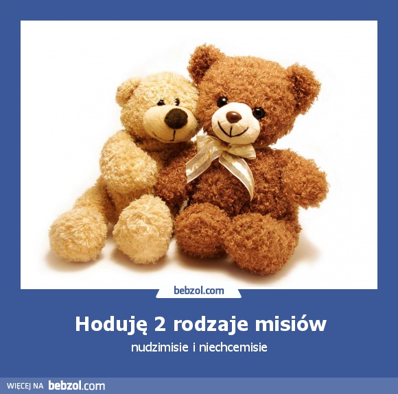 Hoduję 2 rodzaje misiów