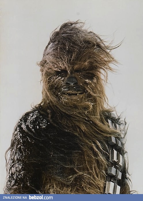 Takiego chłopaka...