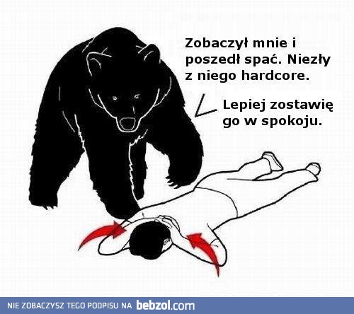 Gdy zobaczysz niedźwiedzia