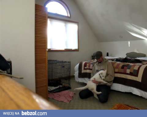 Opierdziel od szczeniaczka