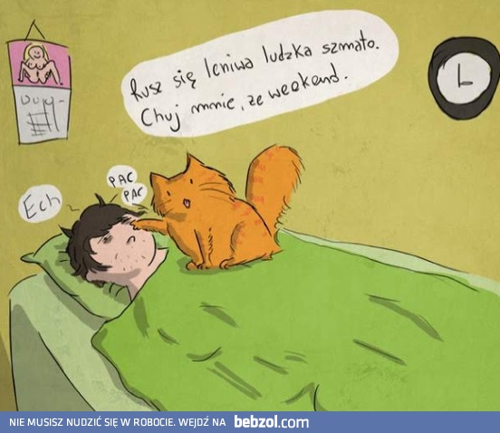 Rusz się z łóżka!