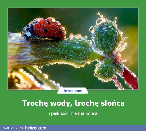 Trochę wody, trochę słońca