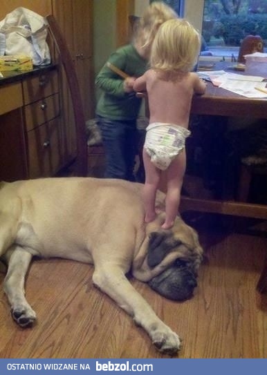 Najlepszy przyjaciel człowieka