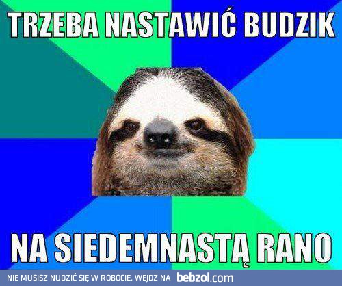 Trzeba nastawić budzik