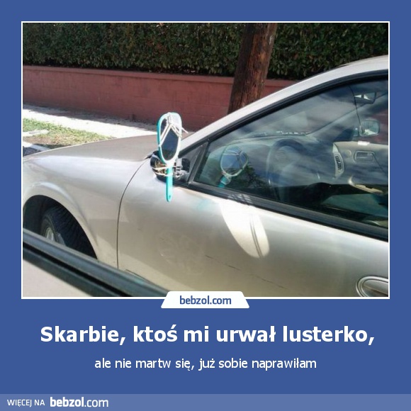 Skarbie, ktoś mi urwał lusterko,