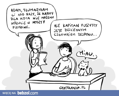 Księgowa nic nie rozumie!