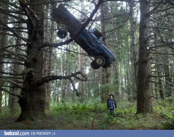 Żona znowu parkowała