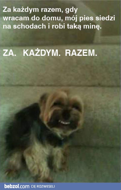 Za każdym razem!