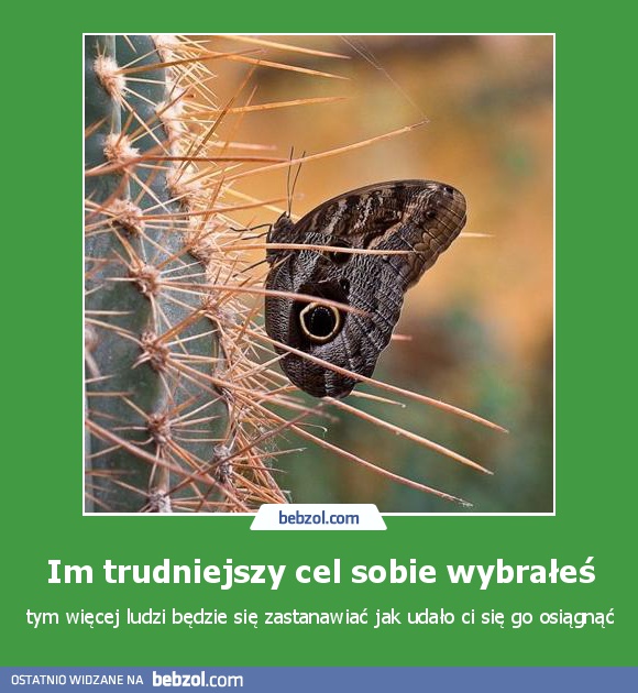 Im trudniejszy cel sobie wybrałeś