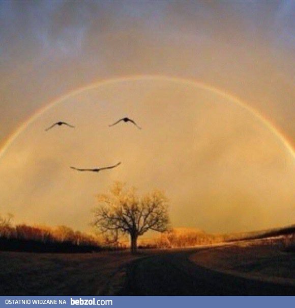 Szczęśliwa tęcza