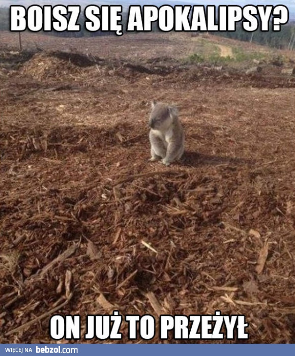 Boisz się apokalipsy?