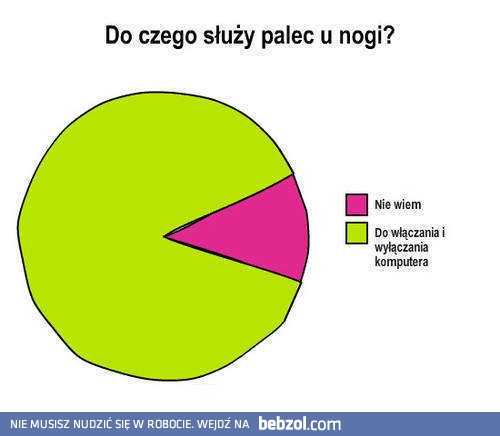 Do czego służy palec u nogi