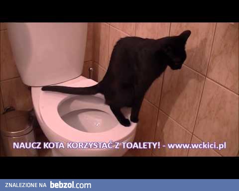 Jak to Kot korzysta z WC