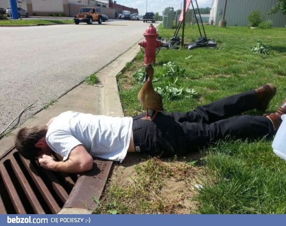 Gdzieś tu zgubiłem kaczkę...