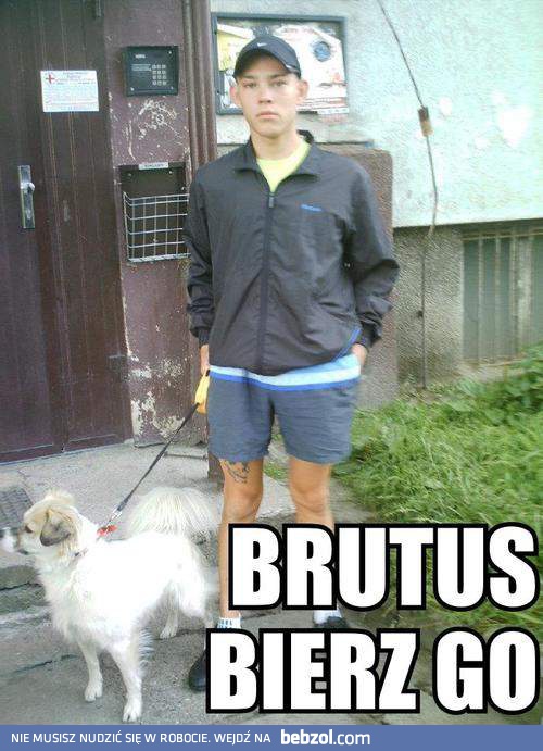 Brutus, bierz go!