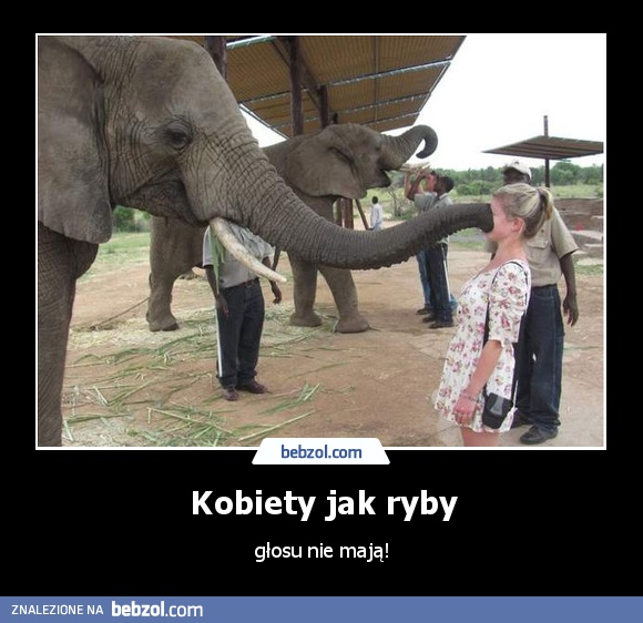 Kobiety jak ryby