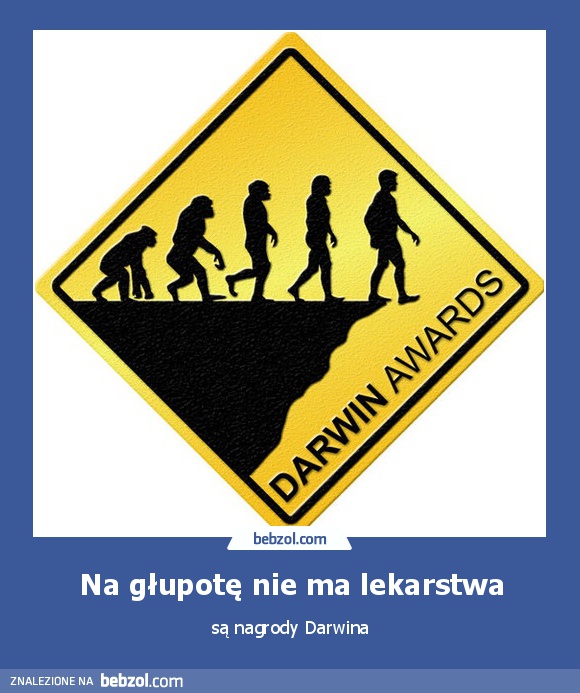 Na głupotę nie ma lekarstwa