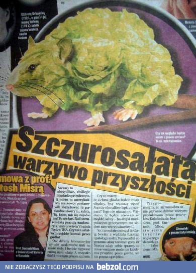 Szczurosałata