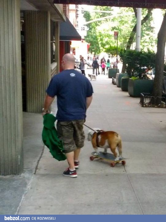 Spacer z leniwym psem