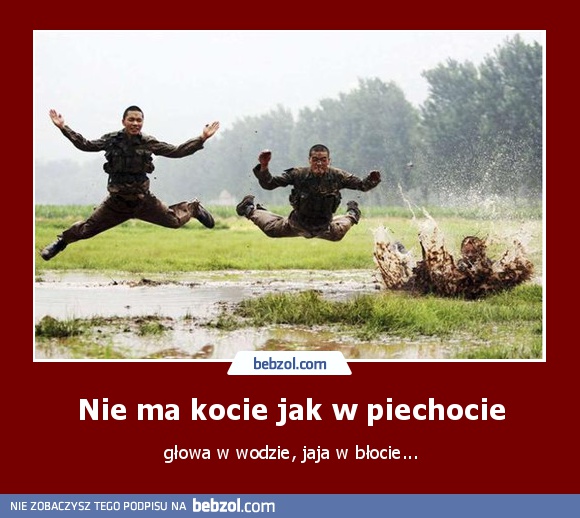 Nie ma kocie jak w piechocie
