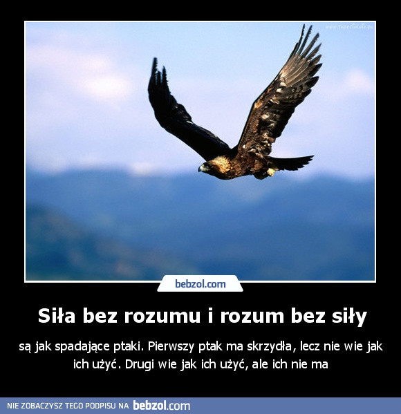 Siła bez rozumu i rozum bez siły