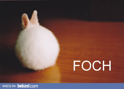 Foch!