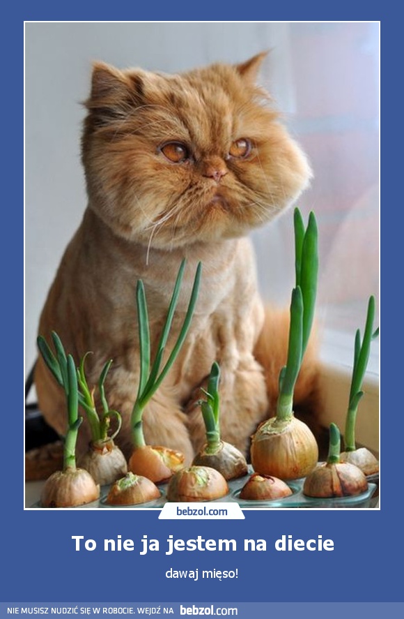 To nie ja jestem na diecie