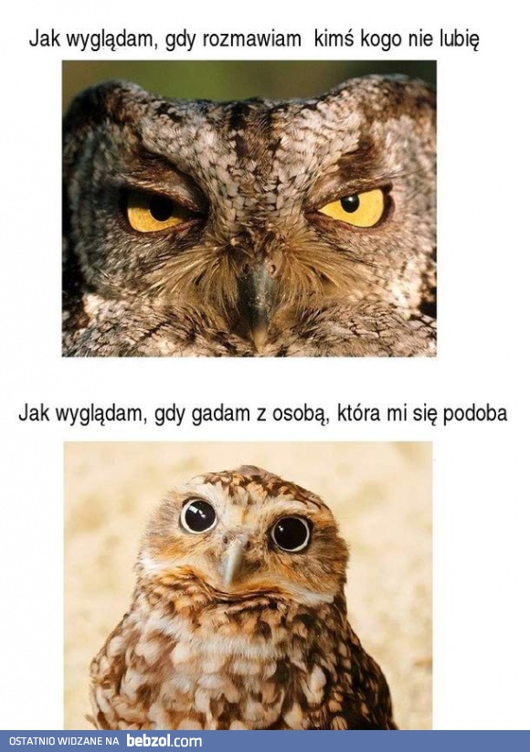 Mina wyraża więcej niż tysiące słów