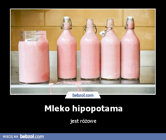 Mleko hipopotama