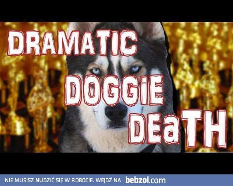 Dramatyczna śmierć psa