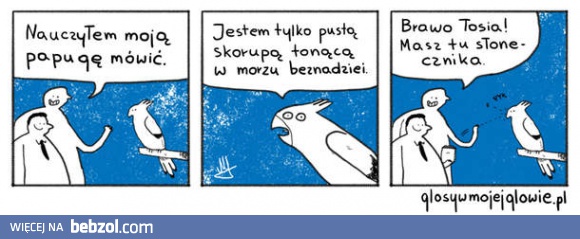 Nauczyłem papugę mówić!