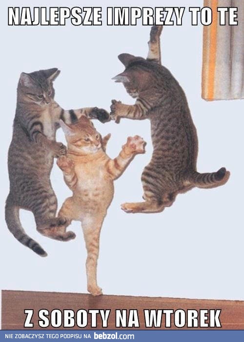 Dobra impreza to taka...