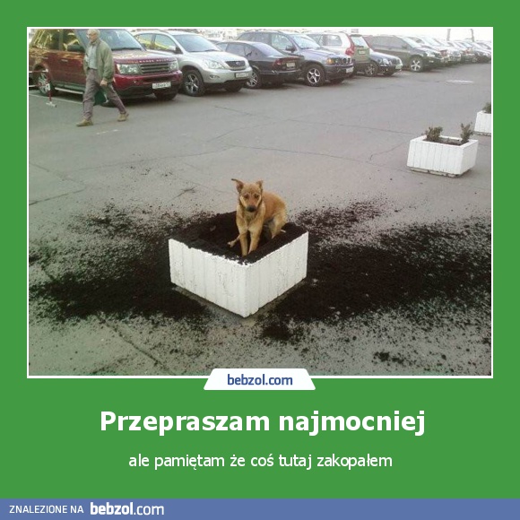 Przepraszam najmocniej