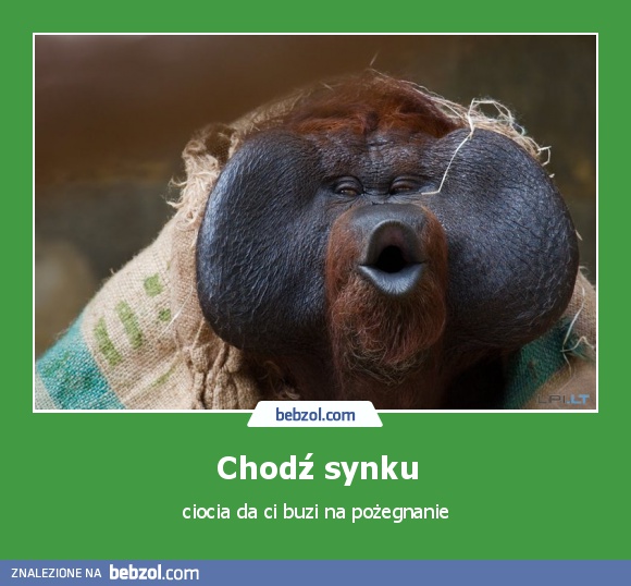 Chodź synku