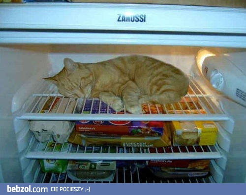 Wiesz, że na dworze jest za gorąco, gdy...