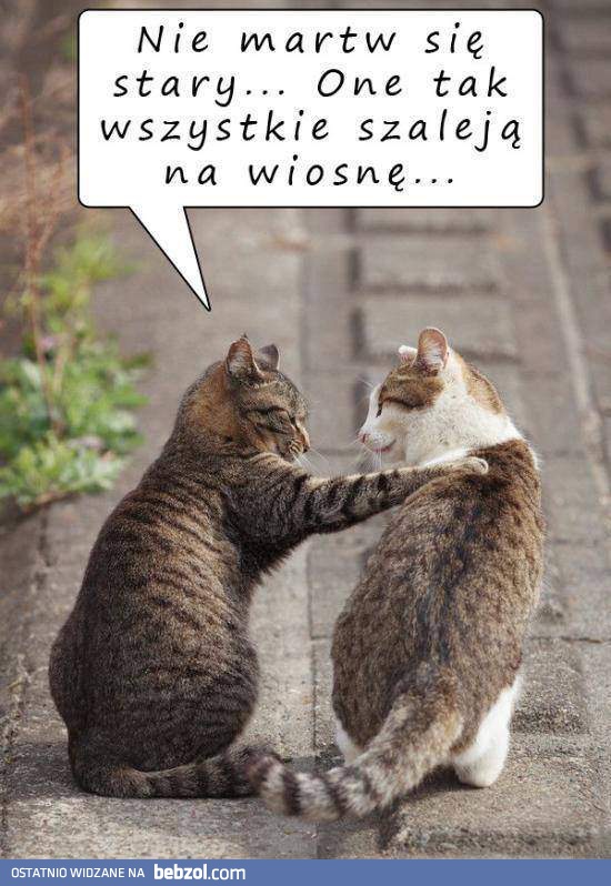 Nie martw się stary