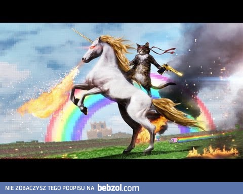 Esencja polskiego Internetu