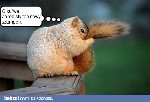 Taki świeży i puszysty. WOW!